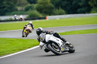 Advanced Group White Bikes
